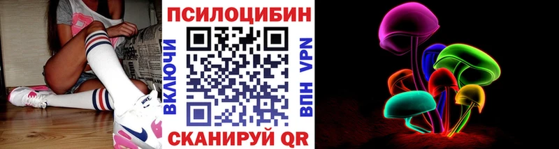 купить наркотик  блэк спрут ссылки  Галлюциногенные грибы Psilocybe  Устюжна 